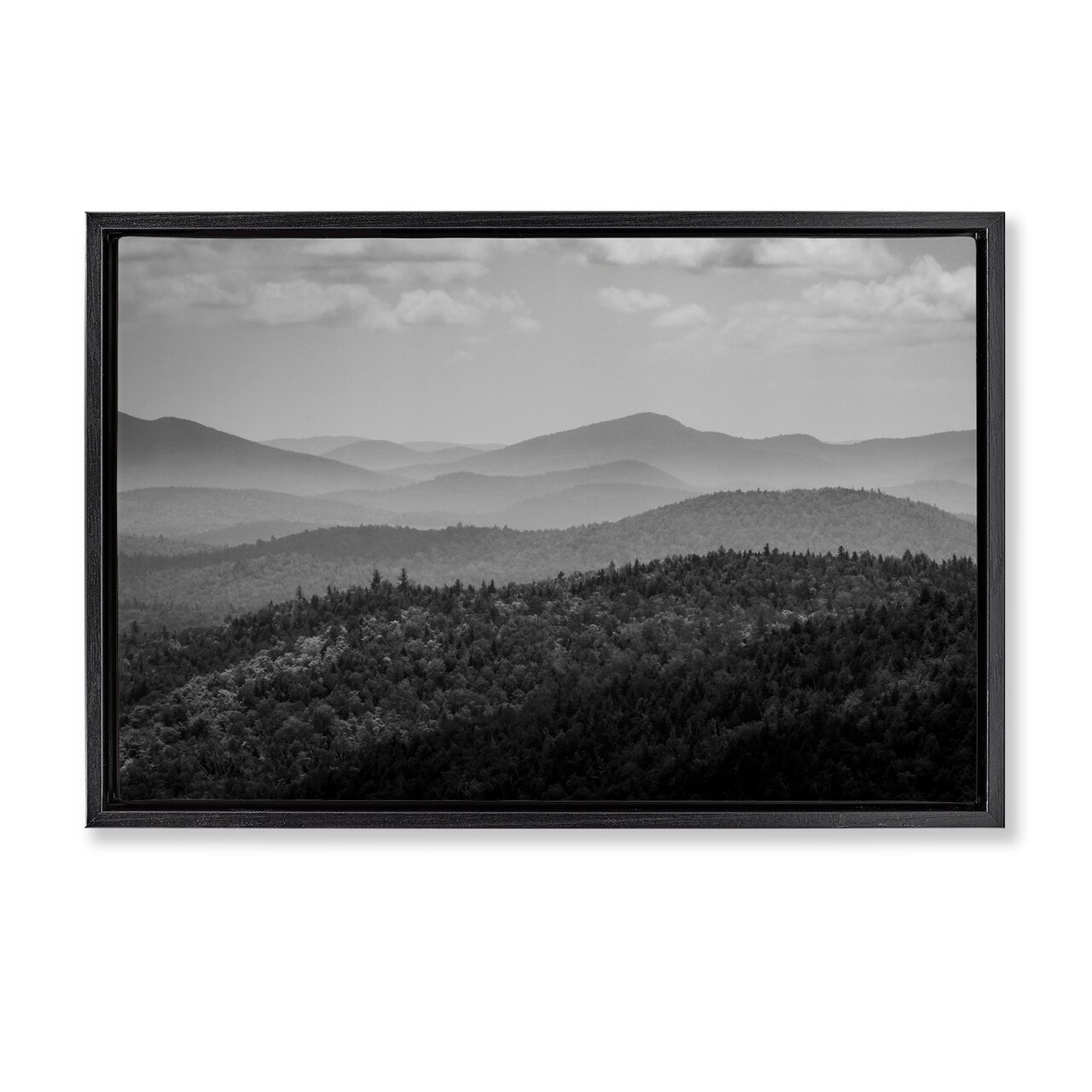 Stupell Industries Misty Adirondack Mountains Floating Frame, design by James Rodewald